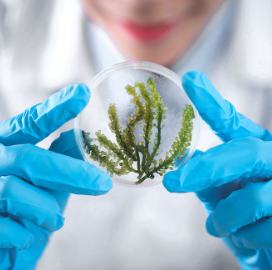 yun probiotherapy elpon biotechnology