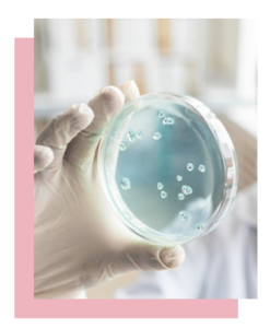 YUN PROBIOTICS EΝΕΡΓΑ ΠΡΟΒΙΟΤΙΚΑ ΥΘΝ ΕΛΛΑΔΑ ELPONBIO ELPON BIO BIOTECHNOLOGY